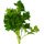 1 Small Bunch Flatleaf Parsley